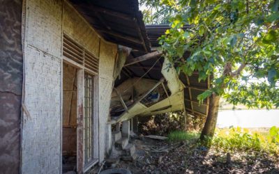 Sumba disaster, current situation, what we are going to do next!