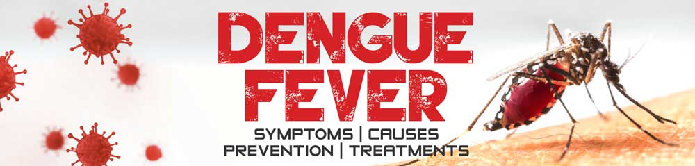 dengue-fever-1000×239