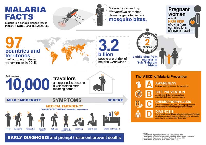 Malaria-infog-800×566