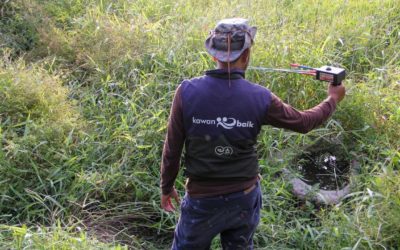 We act like dowsers and their magic wands. And it works so well!