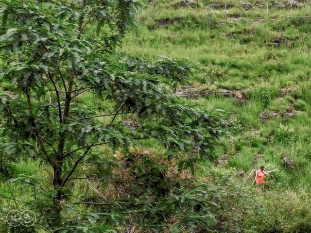 Drilling deep well East Sumba