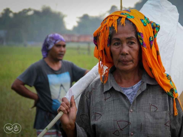 Grasshoppers destroy everything in their path and starve the villages.