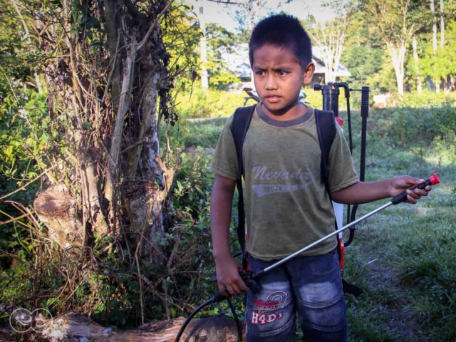 Grasshoppers destroy everything in their path and starve the villages.