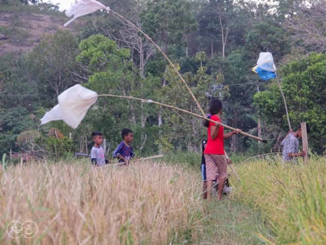 Grasshoppers destroy everything in their path and starve the villages.