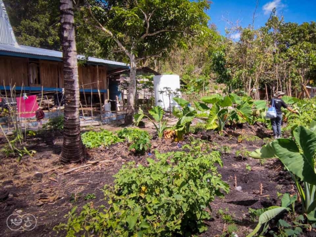 Process of manufacturing healthy sanitary facilities in East Sumba