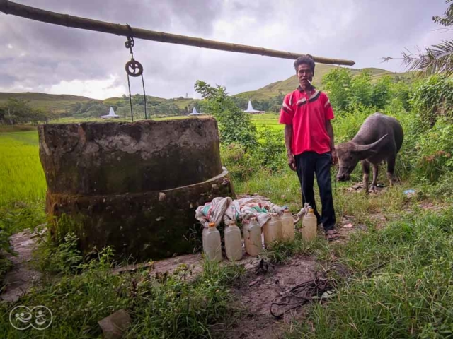 A prayer for water around a well in East Sumba