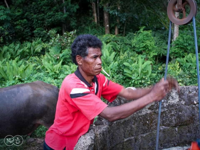 A prayer for water around a well in East Sumba