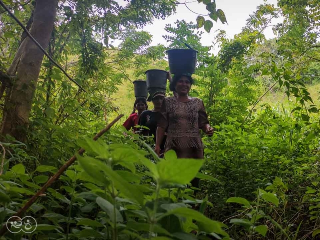 Empowering Rural Women in NTT