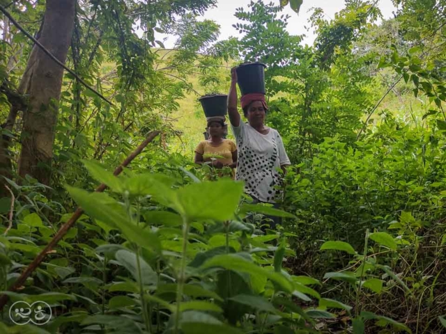 Empowering Rural Women in NTT