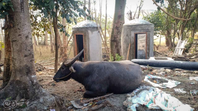 Access to clean water and healthy toilets for rural areas.