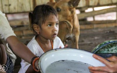 Sumba Malaria Prevention Program 2023