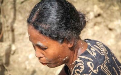 Everyone is at work here in East Sumba