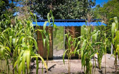 New sanitary facilities for a healthier life