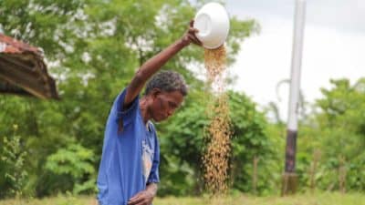 A man pouring grain from a bowl outdoors