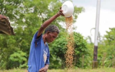 In principle, we should eat every day!