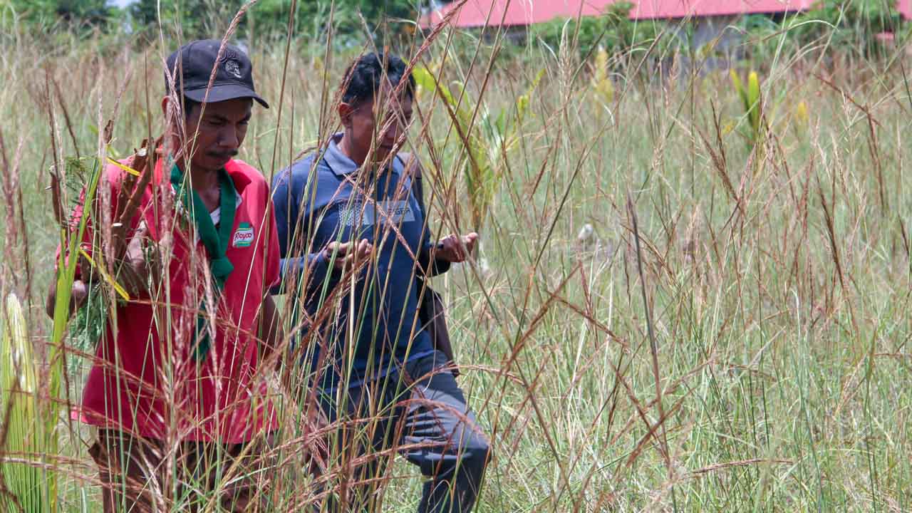 Fair Future and Kawan Baik teams are searching for water sources (groundwater) in a village in Central Sumba, Sumba Tengah.