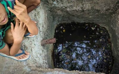 When only dirty water remains to try to survive