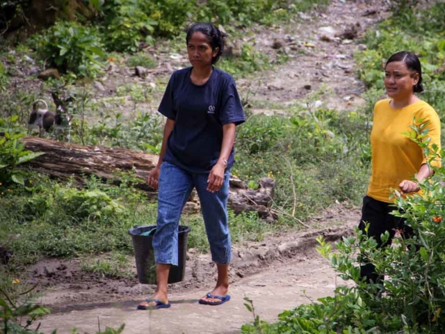 We assess the cases of patients cared for by health workers in the village of Kabanda, Sumba Timur.