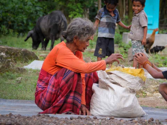 We assess the cases of patients cared for by health workers in the village of Kabanda, Sumba Timur.