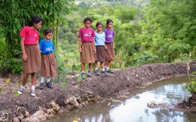 Our aim is to take swift action against malaria