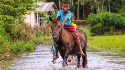 A boy riding a horse through shallow water