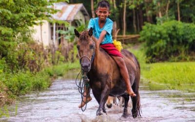 Happy to have water without going far to get it