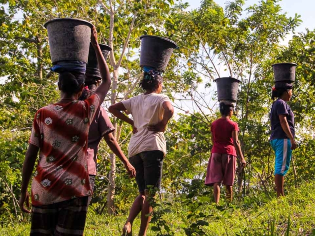 Empowering Rural Women in NTT