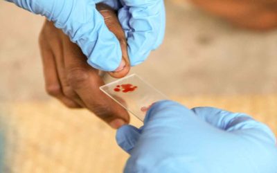 The #ZeroMalariaSumbaTimur program has been successfully implemented