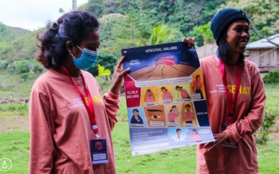 Chapter 1: #ZeroMalaria – Integrated Malaria Prevention in 100 original images