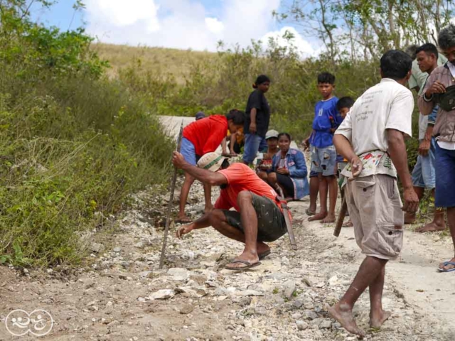 Field assessment in East Sumba