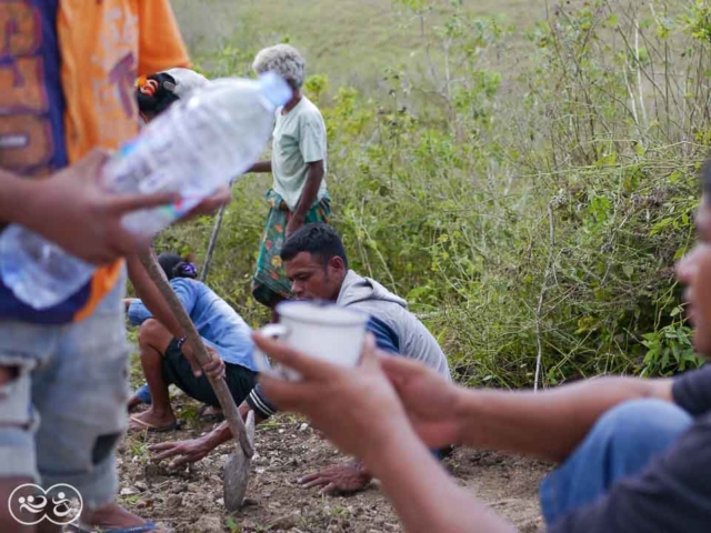 Field assessment in East Sumba