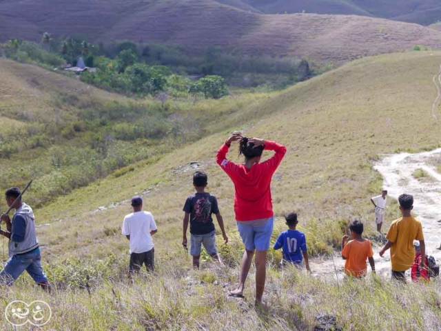 Field assessment in East Sumba