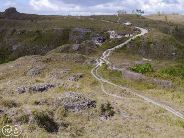 Field assessment in East Sumba