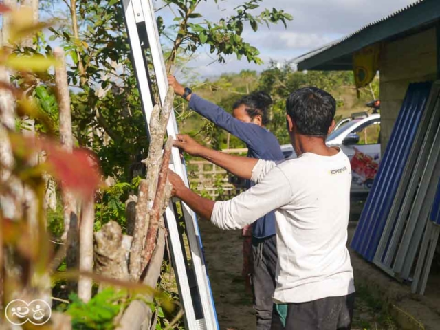 Field assessment in East Sumba