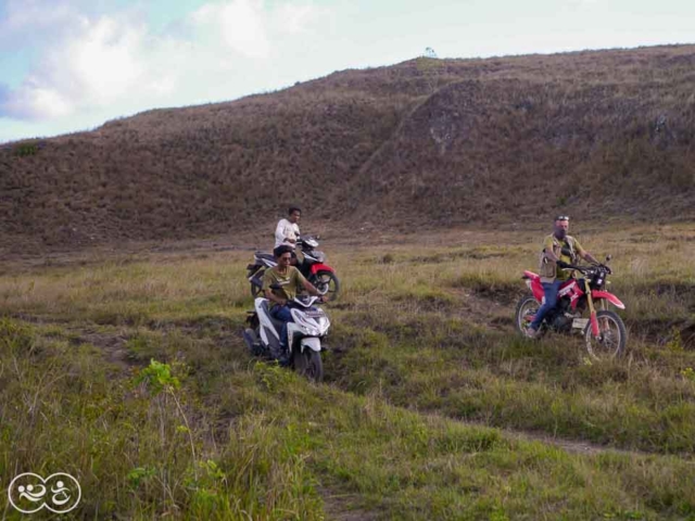 Field assessment in East Sumba