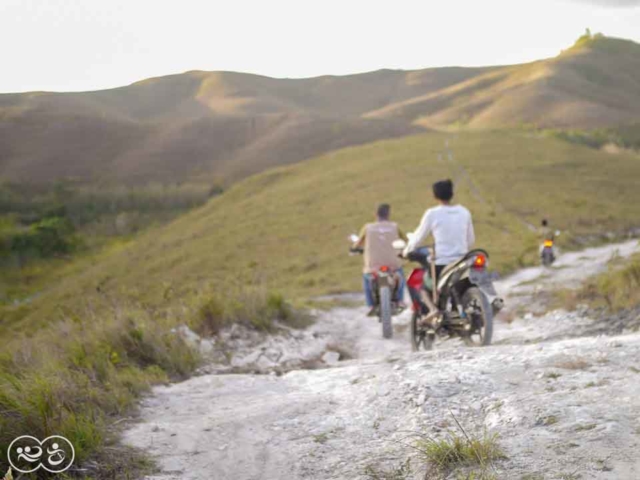 Field assessment in East Sumba