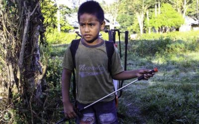East Sumba Pest Crisis: Human & Environmental Health At Stake