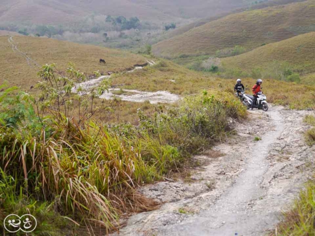 Field assessment in East Sumba