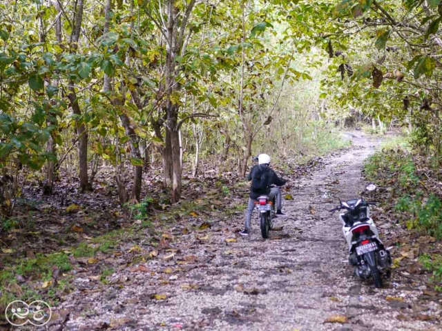 Field assessment in East Sumba