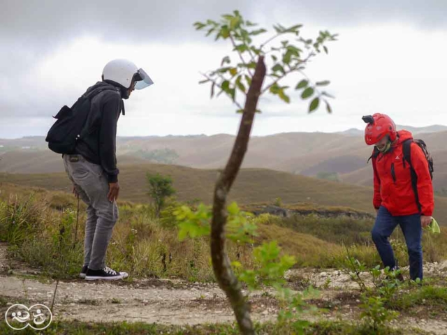 Field assessment in East Sumba