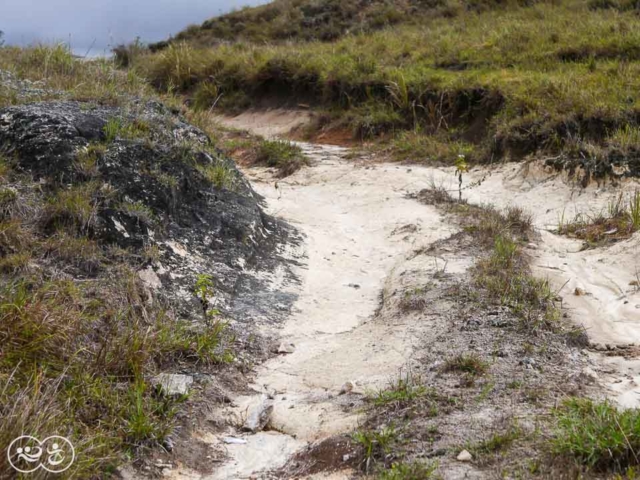 Field assessment in East Sumba