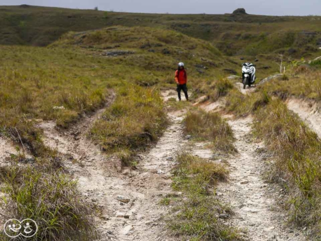 Field assessment in East Sumba