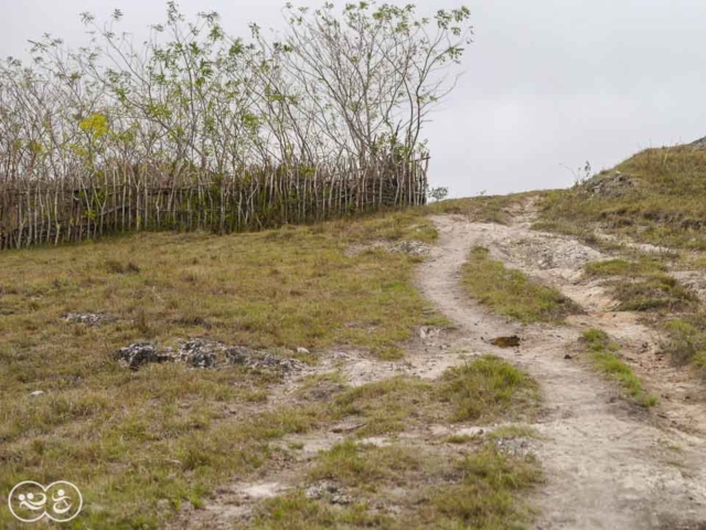 Field assessment in East Sumba