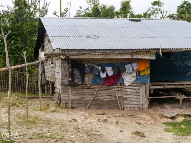 Field assessment in East Sumba