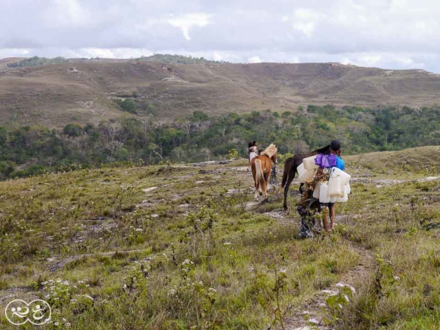 Field assessment in East Sumba