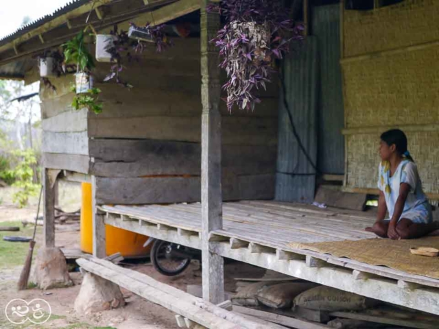 Field assessment in East Sumba