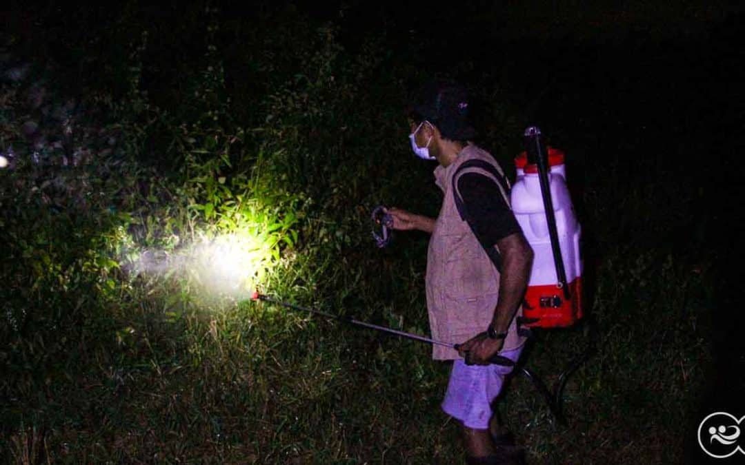 Faces & Fields of Resilience: East Sumba’s Struggle Against Pests and Toxic Solutions