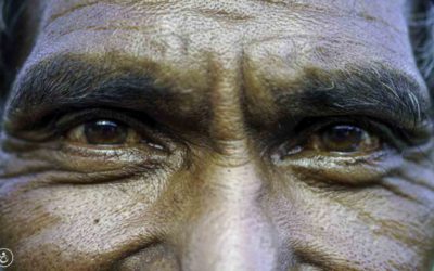 Journey to Lasting Impact: An Immersive Insight into Fair Future’s Approach