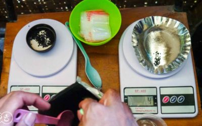 Preparation of the comprehensive malaria control program in Eastern Indonesia.