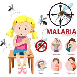 infography-malaria